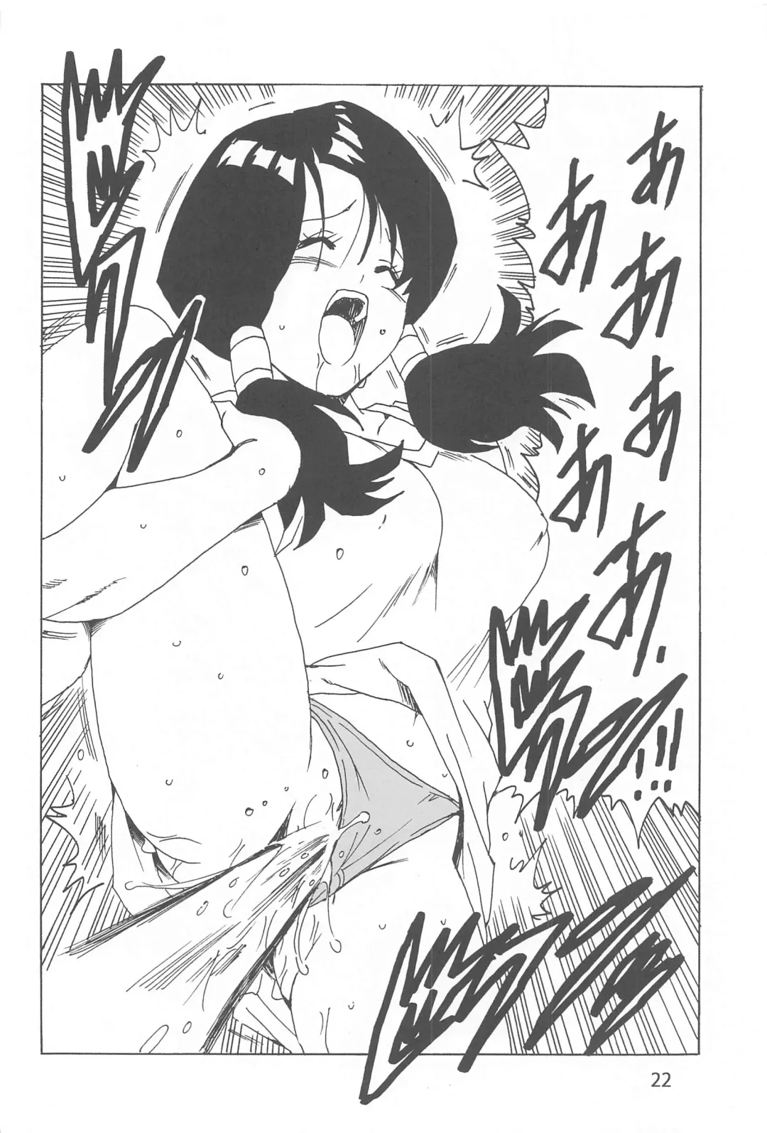 [Youngjijii] Videl LOVE Fhentai - Page 23