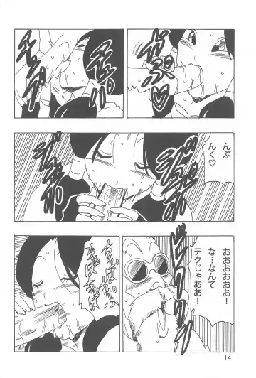 [Youngjijii] Videl LOVE Fhentai.net - Page 15