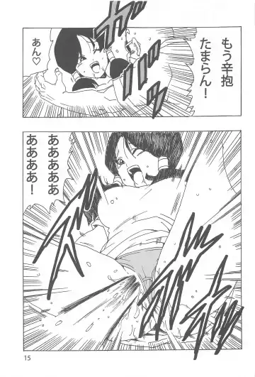 [Youngjijii] Videl LOVE Fhentai.net - Page 16