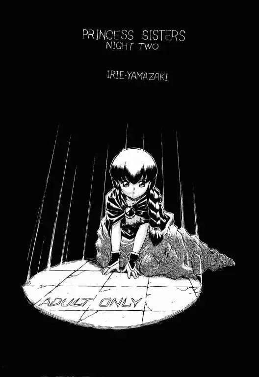 [Irie Yamazaki] PRINCESS SISTERS NIGHT TWO Fhentai - Page 38