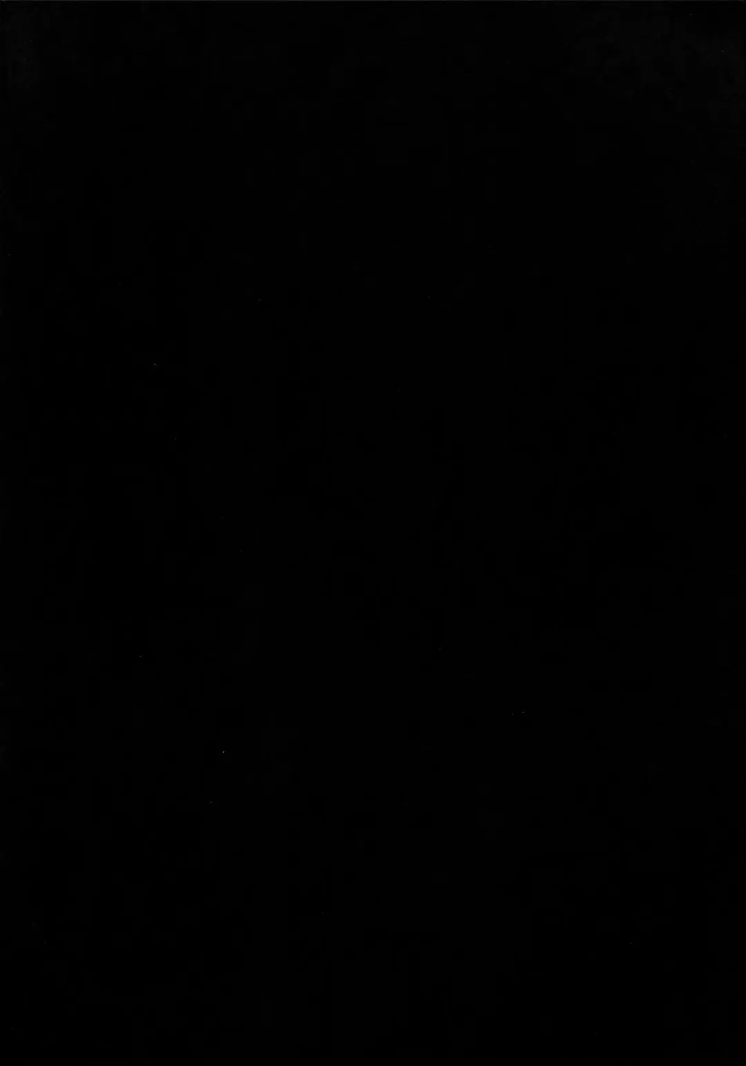 [Appyalpie] Haeteru! Kakedashi Boukensha Trio Fhentai - Page 15