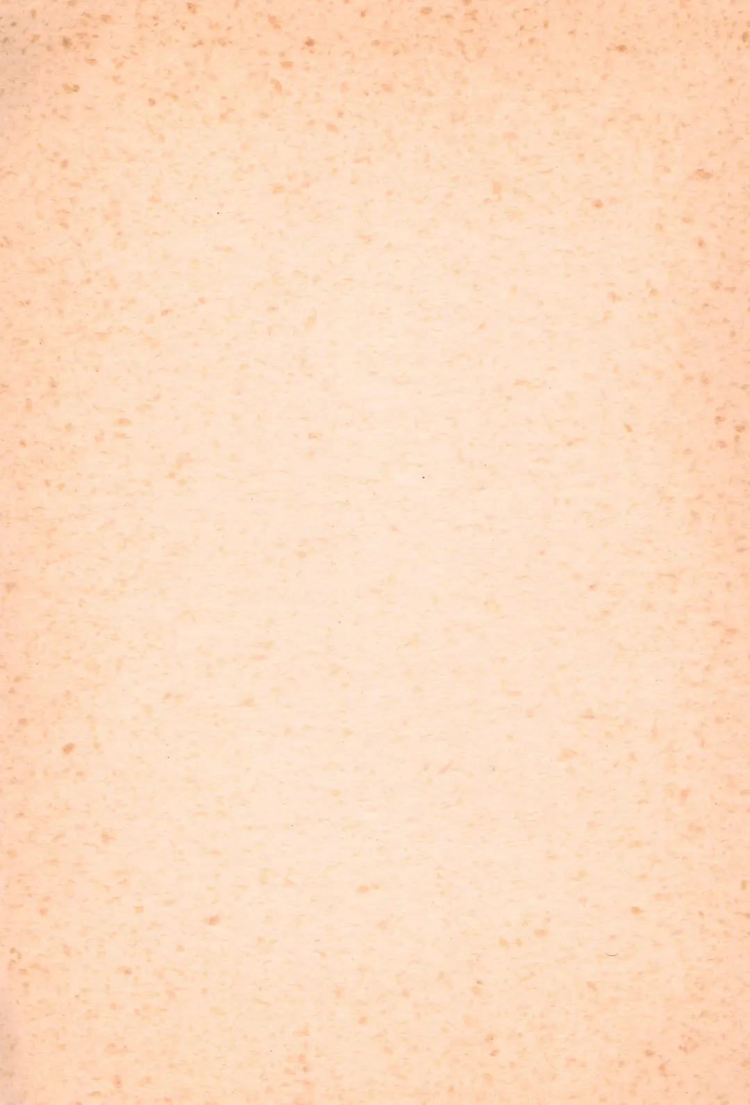 BRAID ON BLADE The Secondary Edition Fhentai - Page 37