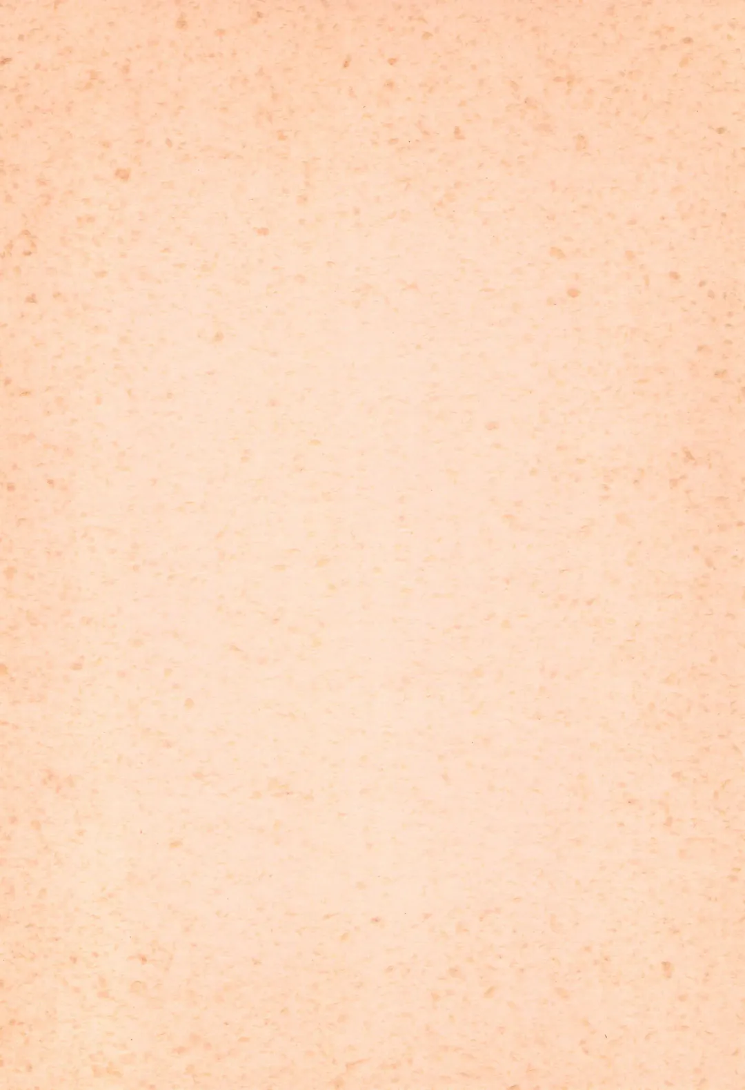 BRAID ON BLADE The Secondary Edition Fhentai - Page 4