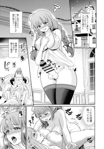 [Shikigami Kuroko] Futanari Elf no Tanetsuke Bokujou 2 Fhentai.net - Page 4