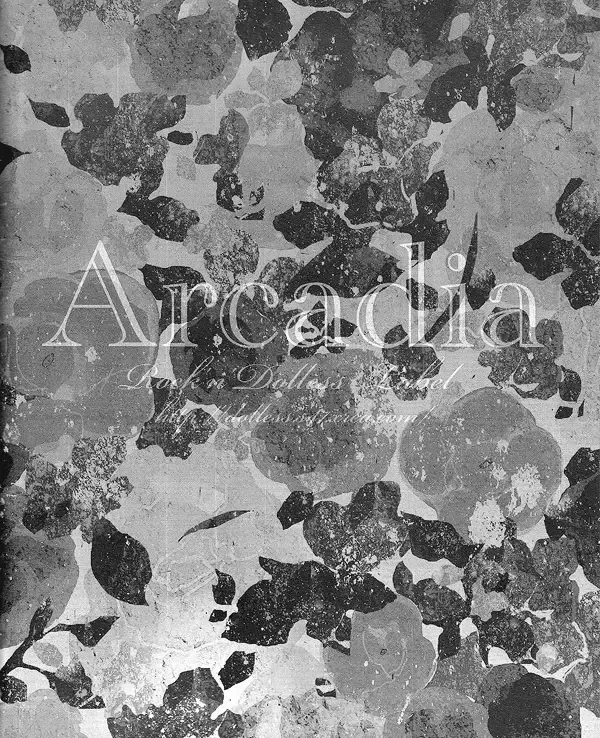 [Himemiko] Arcadia Fhentai - Page 54