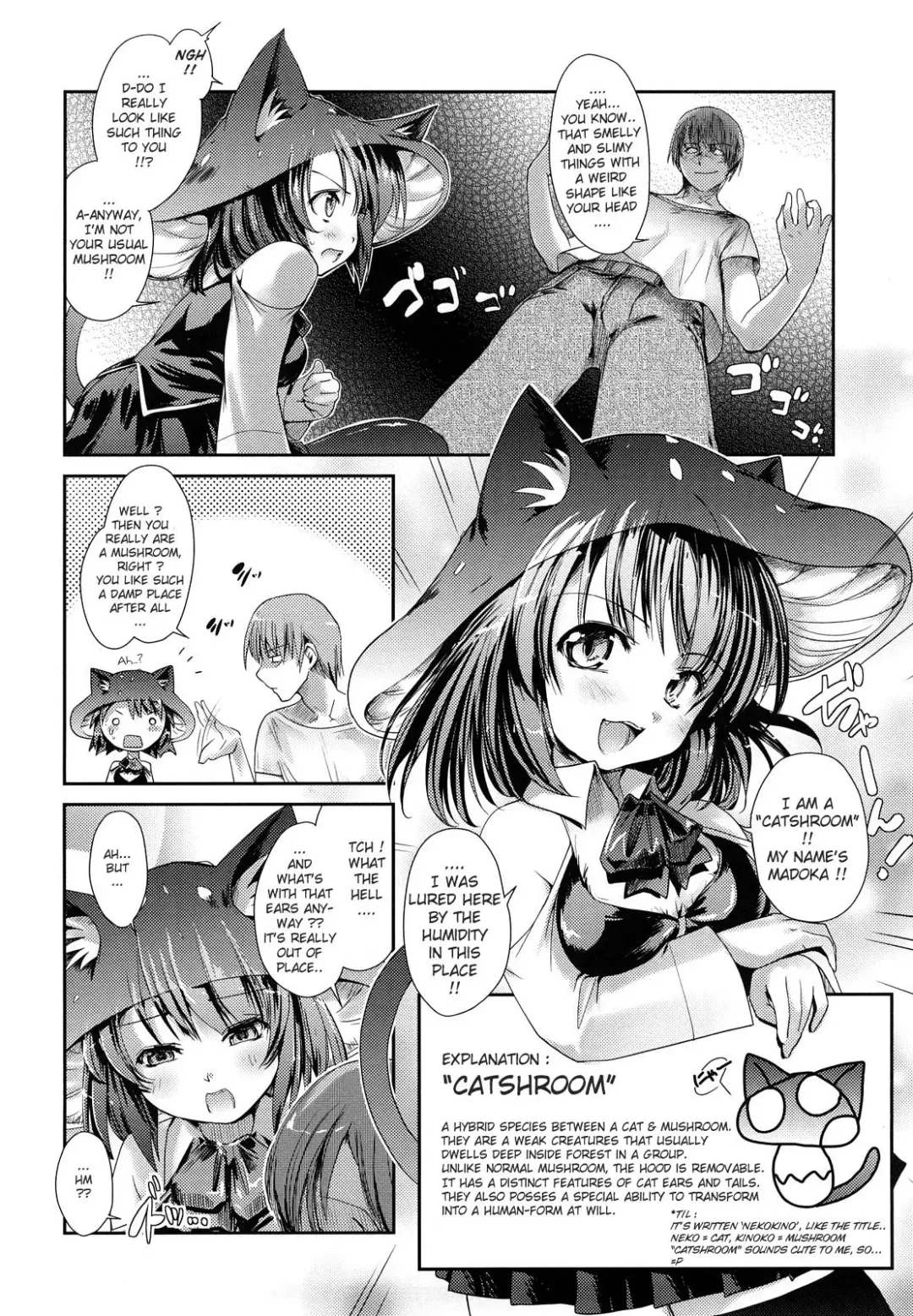 [Nixinamo Lens] Nekokino to Ame no Machi - Cat Mushroon Girl And Town of Rain Fhentai - Page 11