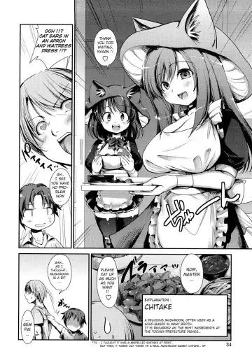 [Nixinamo Lens] Nekokino to Ame no Machi - Cat Mushroon Girl And Town of Rain Fhentai - Page 33