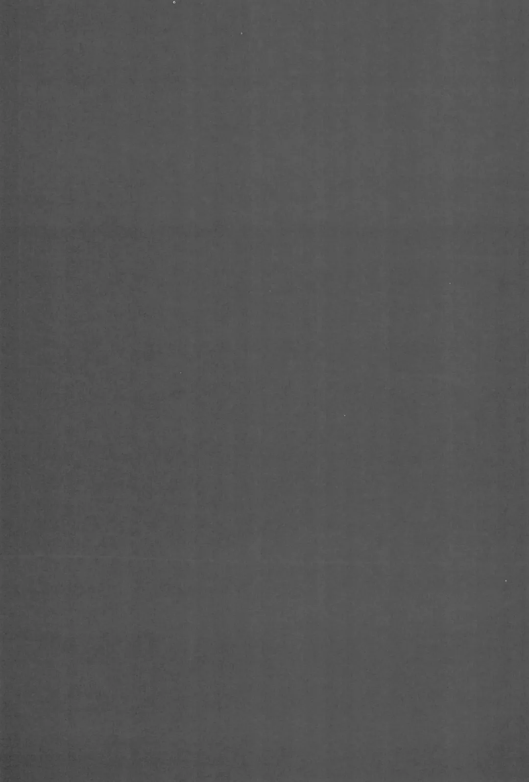 [Maru Mikan] Futari de Settai, Waka Okami! Fhentai - Page 29