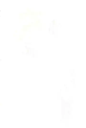 [Wancho] Daikaiten Gonin Musume Fhentai - Page 2