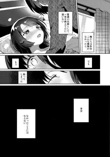 [Ichihaya] Imouto to Lockdown Fhentai - Page 22