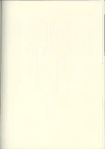 Futari no Aniyome AFTER STORY BOOK Fhentai - Page 20