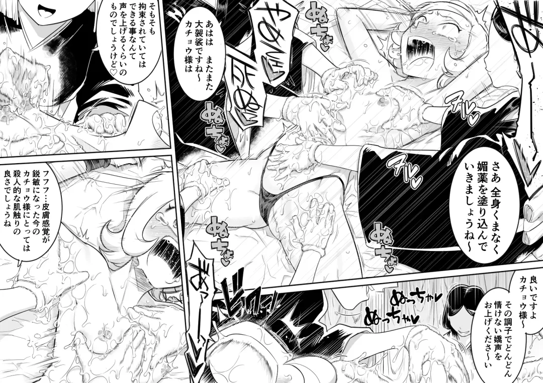 [Shine Nabyss] Kachou Seidorei Choukyou II Fhentai - Page 18