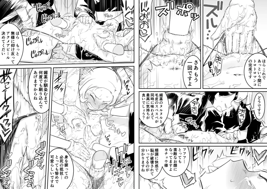 [Shine Nabyss] Kachou Seidorei Choukyou II Fhentai - Page 21