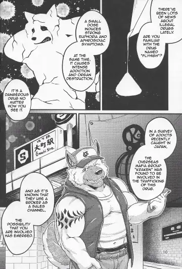 [Kishiguma Toragorou] Parallel Rights Fhentai - Page 9