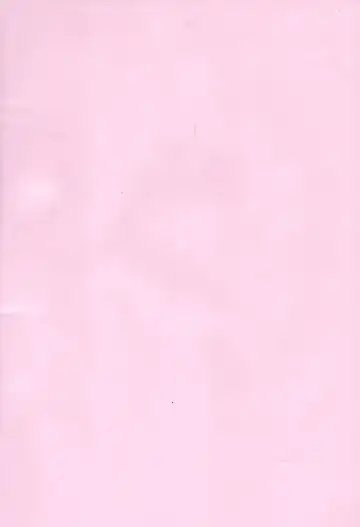 [Sakura Puchilo] Hatsujo Taiga Fhentai - Page 3