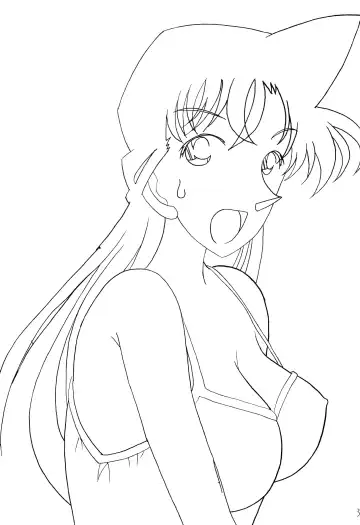 [Mita Satomi] Raichi Fhentai - Page 2