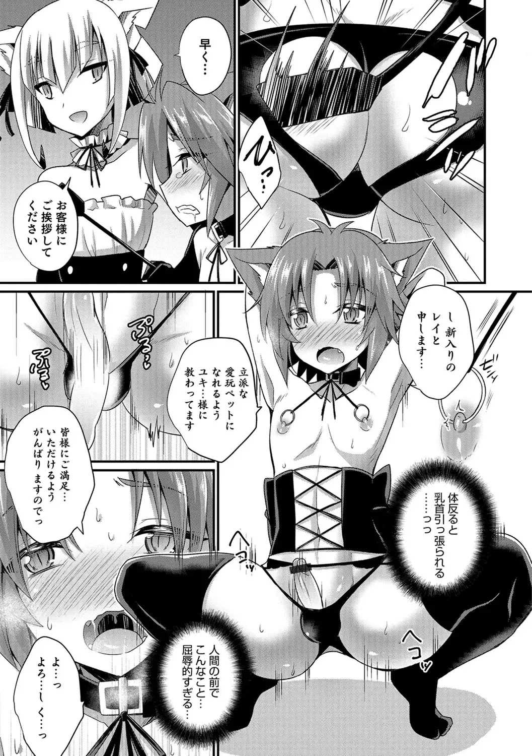 [Kaitou Yuuhi] Kawaii otokonoko no shitsuke-kata Fhentai - Page 170