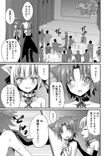 [Kaitou Yuuhi] Kawaii otokonoko no shitsuke-kata Fhentai - Page 168