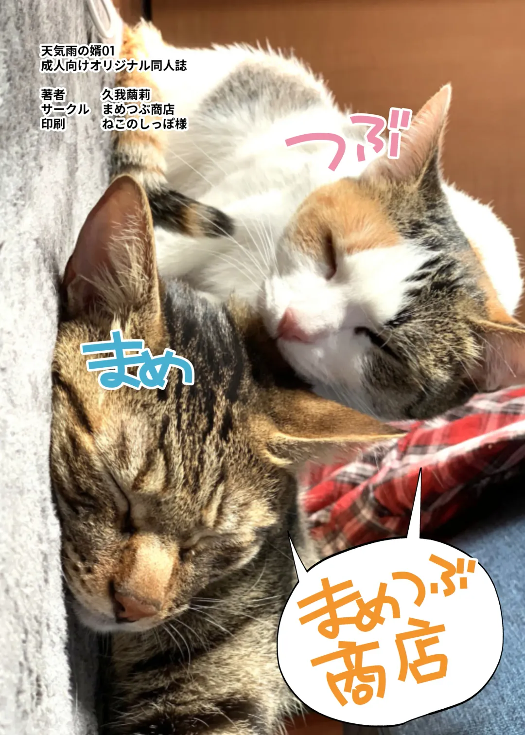 [Kuga Mayuri] Tenkiame no Muko Fhentai - Page 24