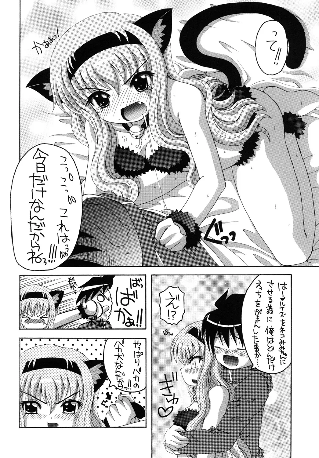 [Asano Yukino] Nekomimi Louise-tan Fhentai - Page 11