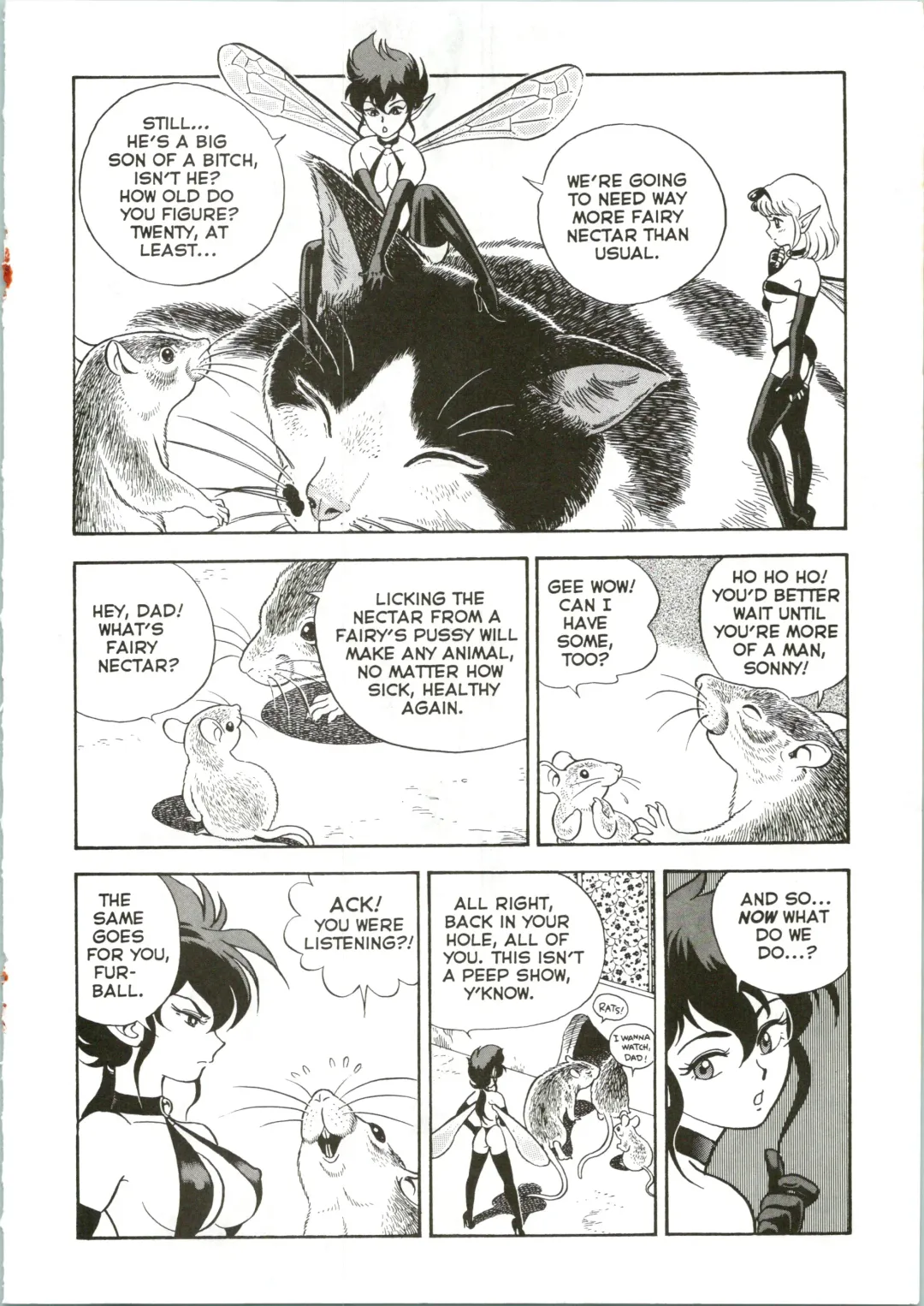 [Kondom] The New Bondage Fairies 09 Fhentai - Page 13