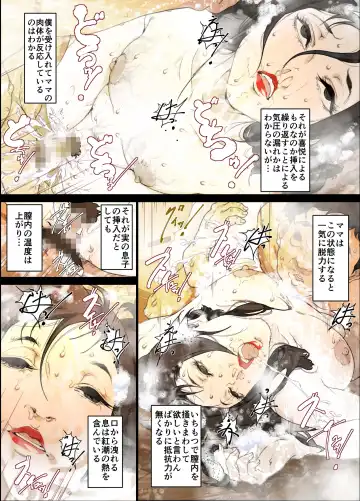 [Junk Kameyoko] Mama Ningyou Lobotomy Shujutsu ni Shippai Shita Hahaoya o Dutch Wife ni Shiteiru Musuko no Hanashi. Fhentai - Page 30