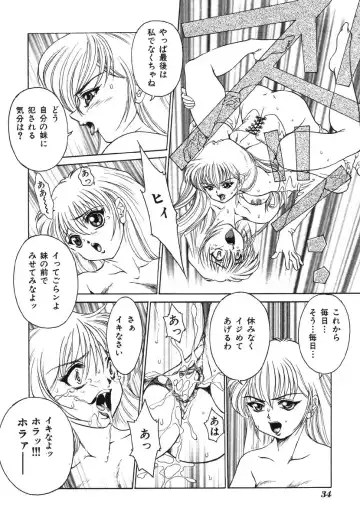 Shigyaku Shikou Fhentai - Page 38