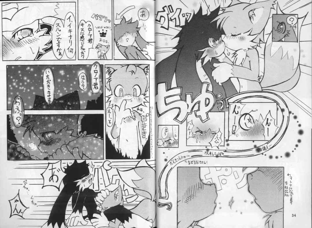 Klonoa & Tails Fhentai - Page 4
