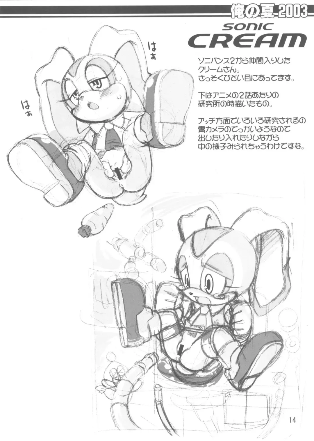 [Akuno Toujou - Poni.] Ore No Natsu 2003 Fhentai - Page 13