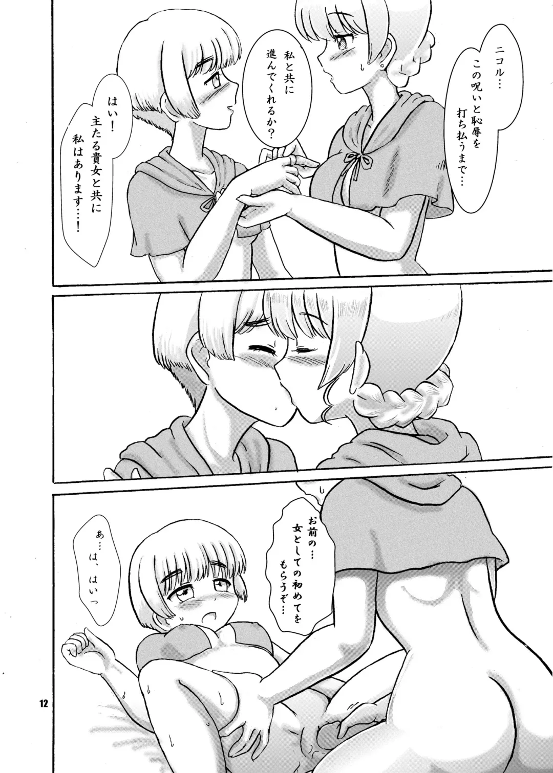 [Hosikawa Tukimi] Noroware Seikishi to Kyoukai no Higi Fhentai - Page 12