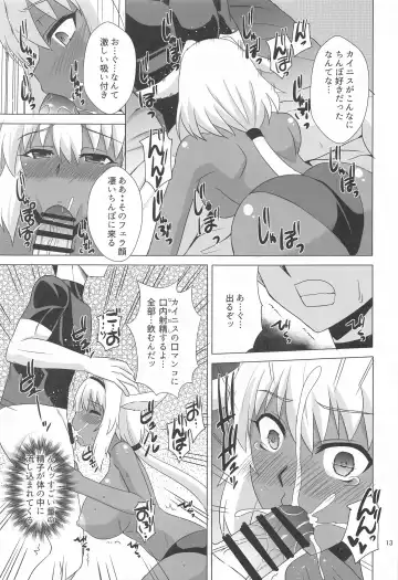 [Zeros] Caenis to Sugosu Kyuujitsu Fhentai - Page 12