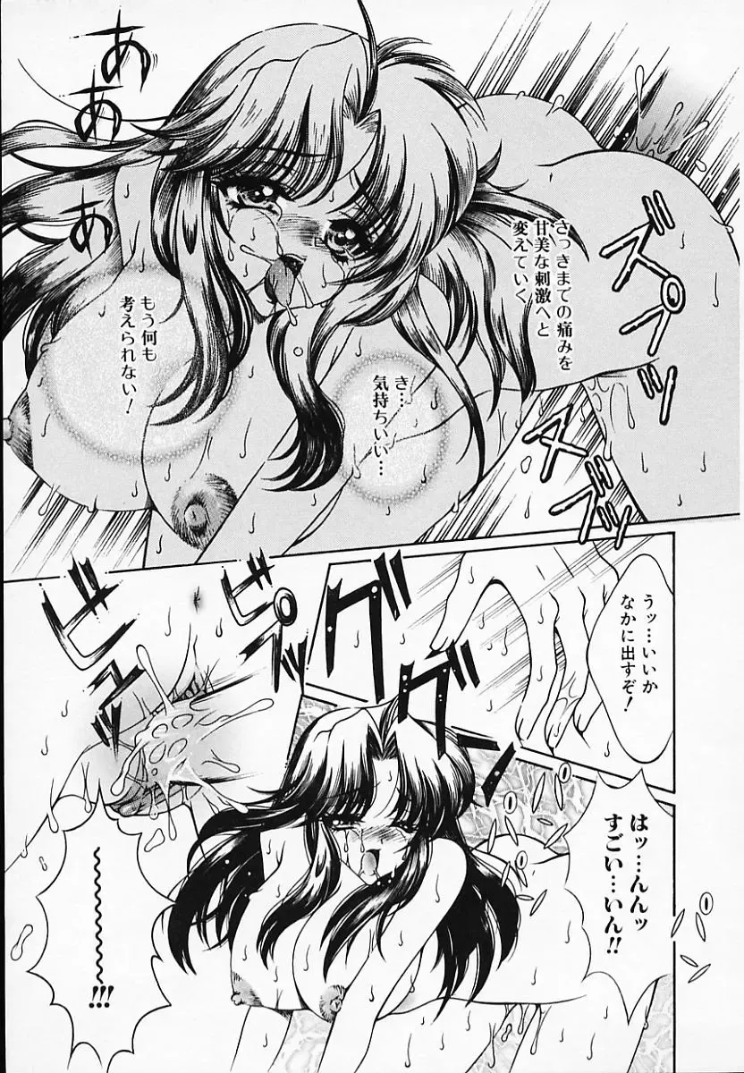 [Akira Renji] Chijyoku Hime Fhentai - Page 67