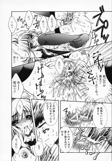 [Akira Renji] Chijyoku Hime Fhentai - Page 16