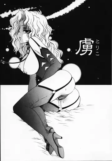 [Akira Renji] Chijyoku Hime Fhentai - Page 23