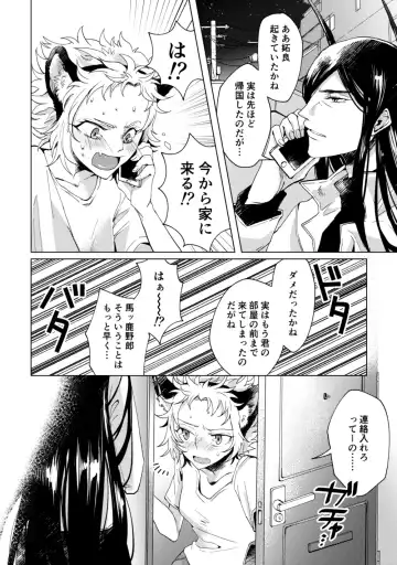 [Mauu] Otome no Inori La prière d' une vierge Fhentai - Page 5