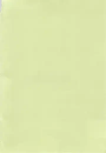 [Gabagobogebe] Delicate Sound of Thunder Fhentai - Page 4