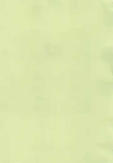 [Gabagobogebe] Delicate Sound of Thunder Fhentai - Page 5