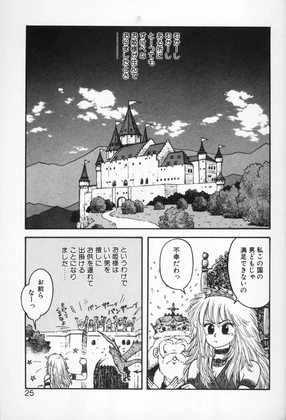 [Yui Toshiki] Princess Quest Saga Fhentai - Page 25