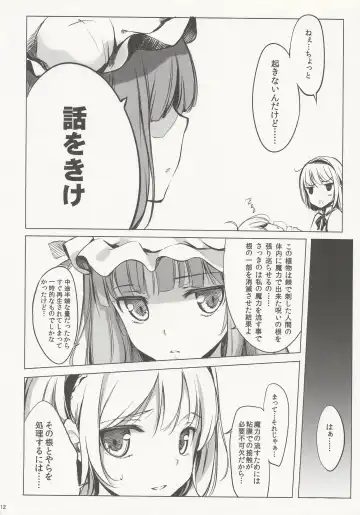 [Ke-ta] SLEEPING MAGE -Mahou no Mori no Nemurihime- Gekidoku Shoujo Publication Number VII Fhentai.net - Page 11