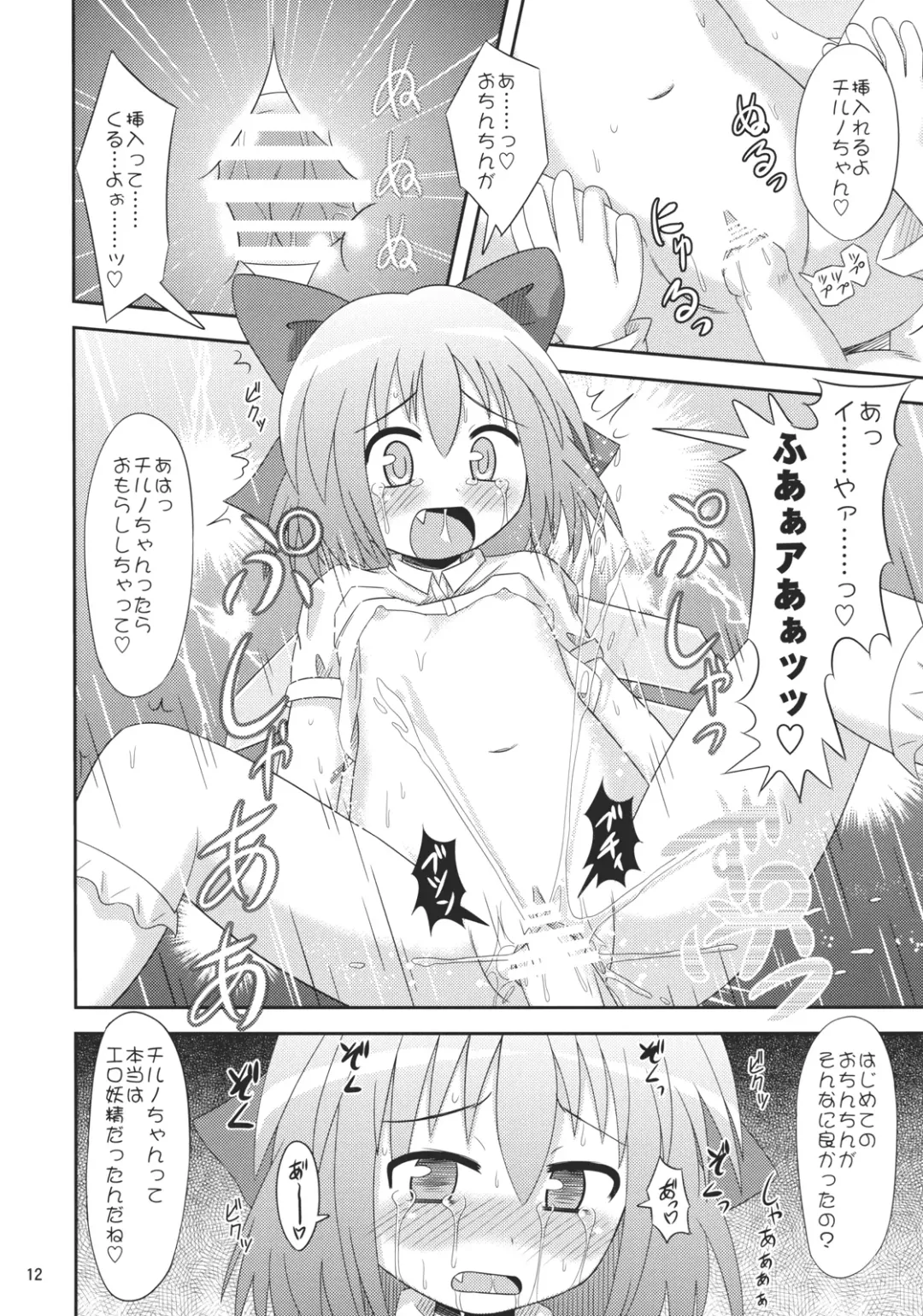 [Koizumi Hitsuji] 9 Bai Cirno Jiru Fhentai - Page 11