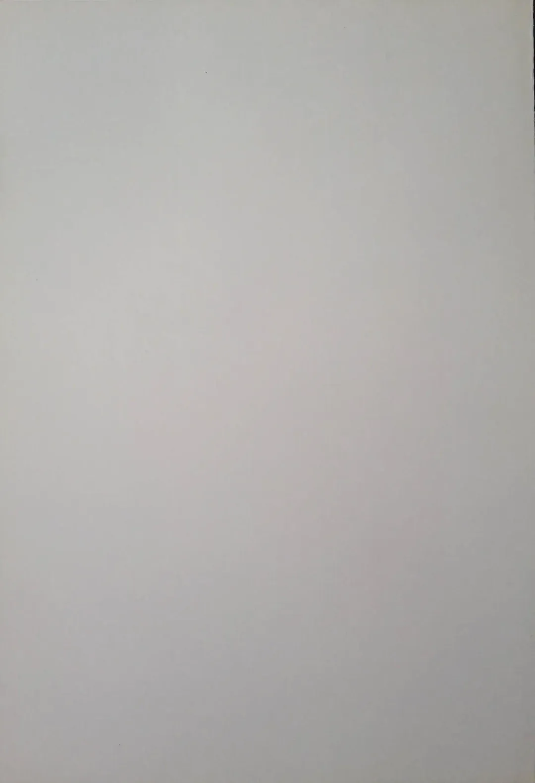 [Arima Keitarou - Kuroinu Juu] ED -EDWARD WONG HAU PEPELU TIVRUSKY IV- Fhentai - Page 27