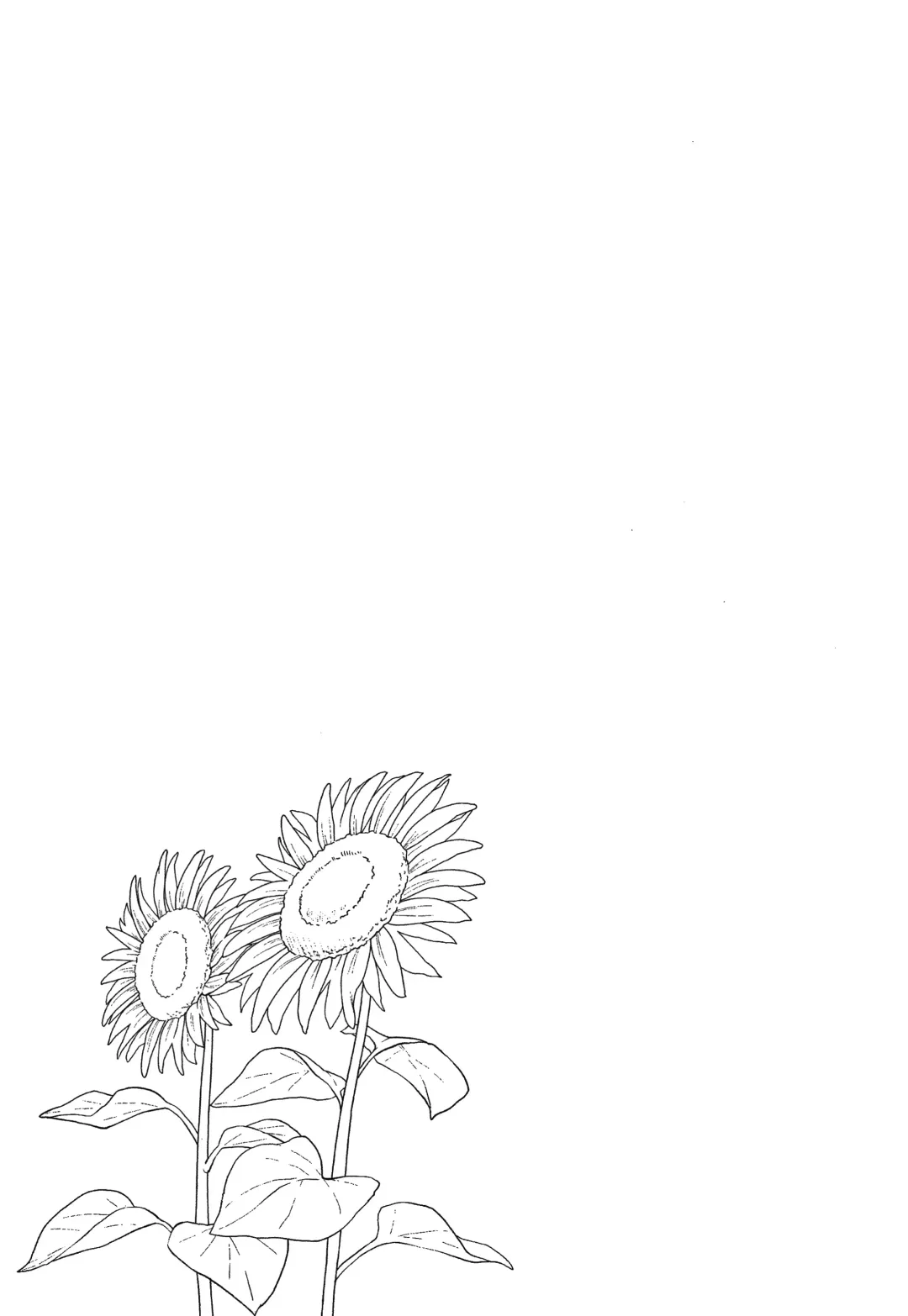 [Meganei] Shishunki no Obenkyou Fhentai - Page 142