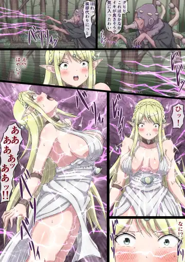 Nerawareta Onna Elf Elisia Fhentai - Page 11