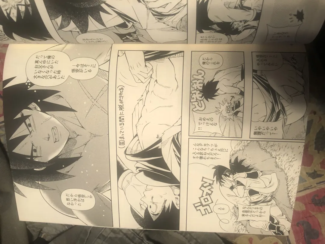Broly Fhentai - Page 13
