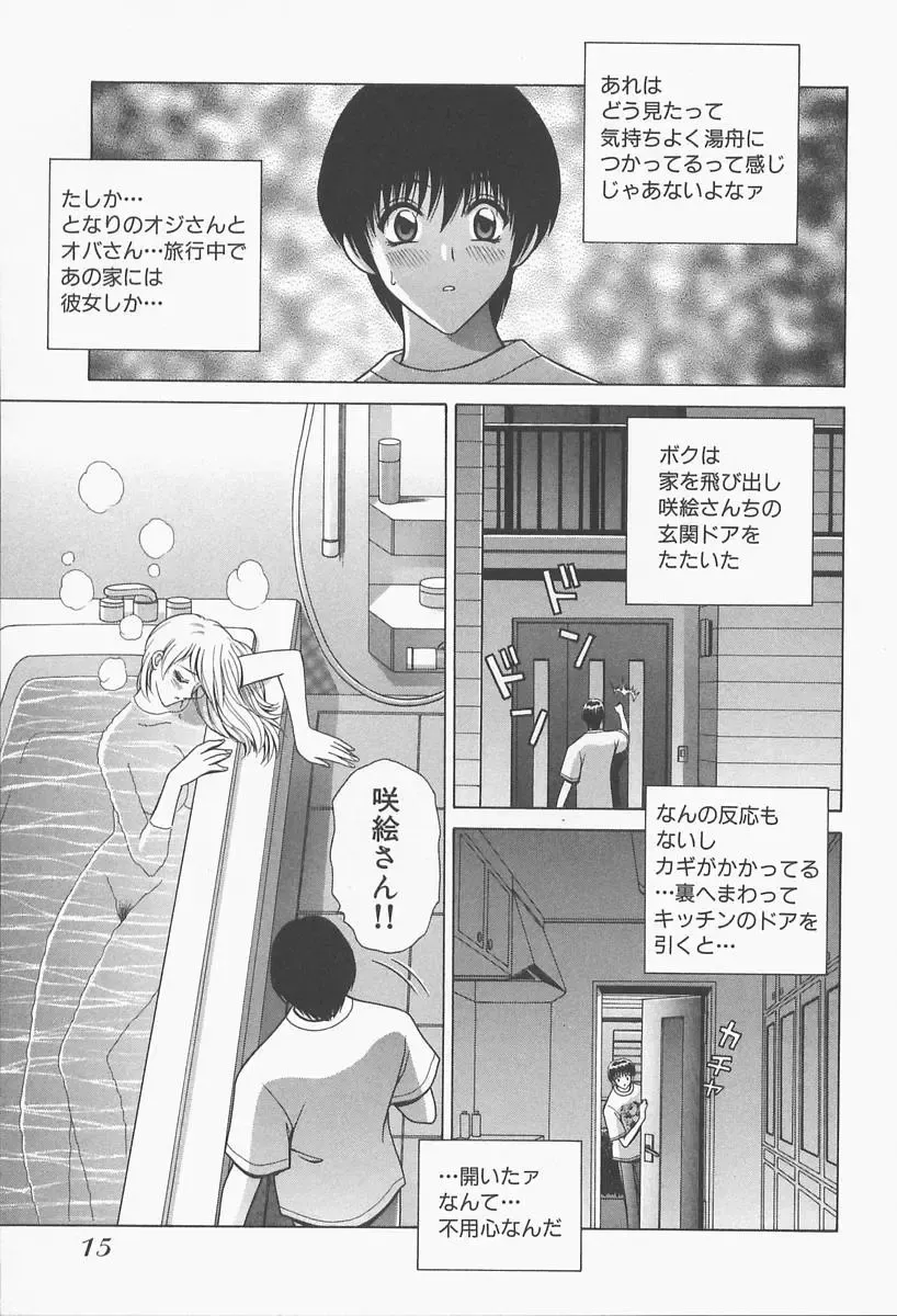 [Gun Ryuusei] VIVA Suteki na Oneesan Vol. 1 Fhentai - Page 17