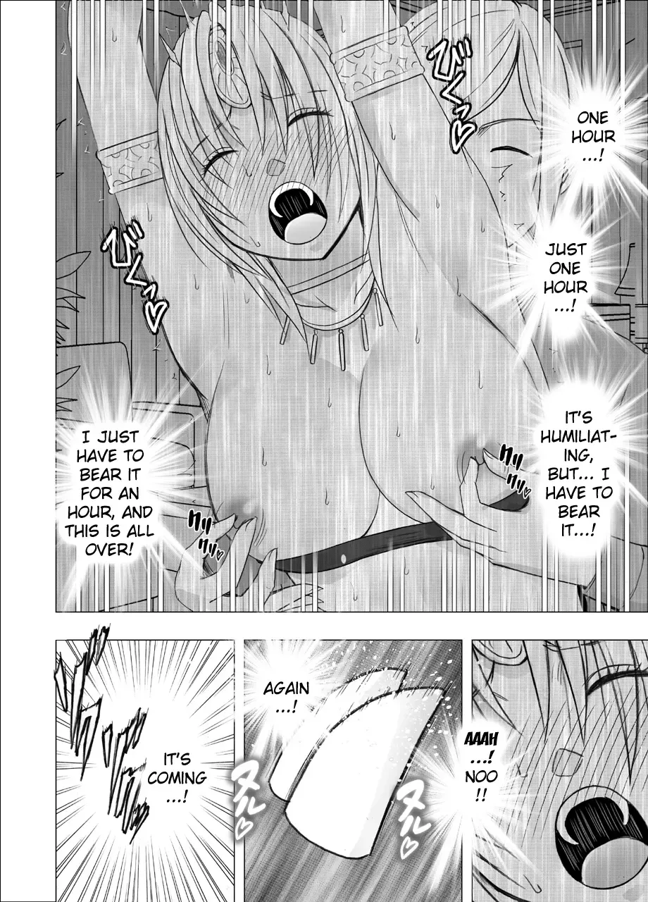 [Crimson] Otori Sousakan Kyouka Douryou Les Choukyou Hen Fhentai - Page 25