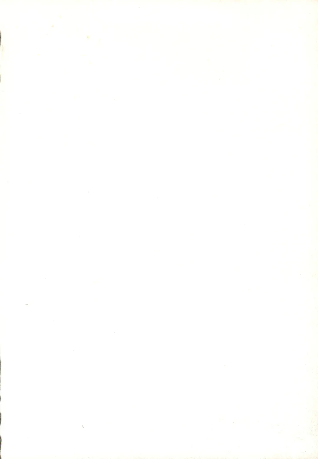 CAPCOM CONSUMER COLLECTION Fhentai - Page 2