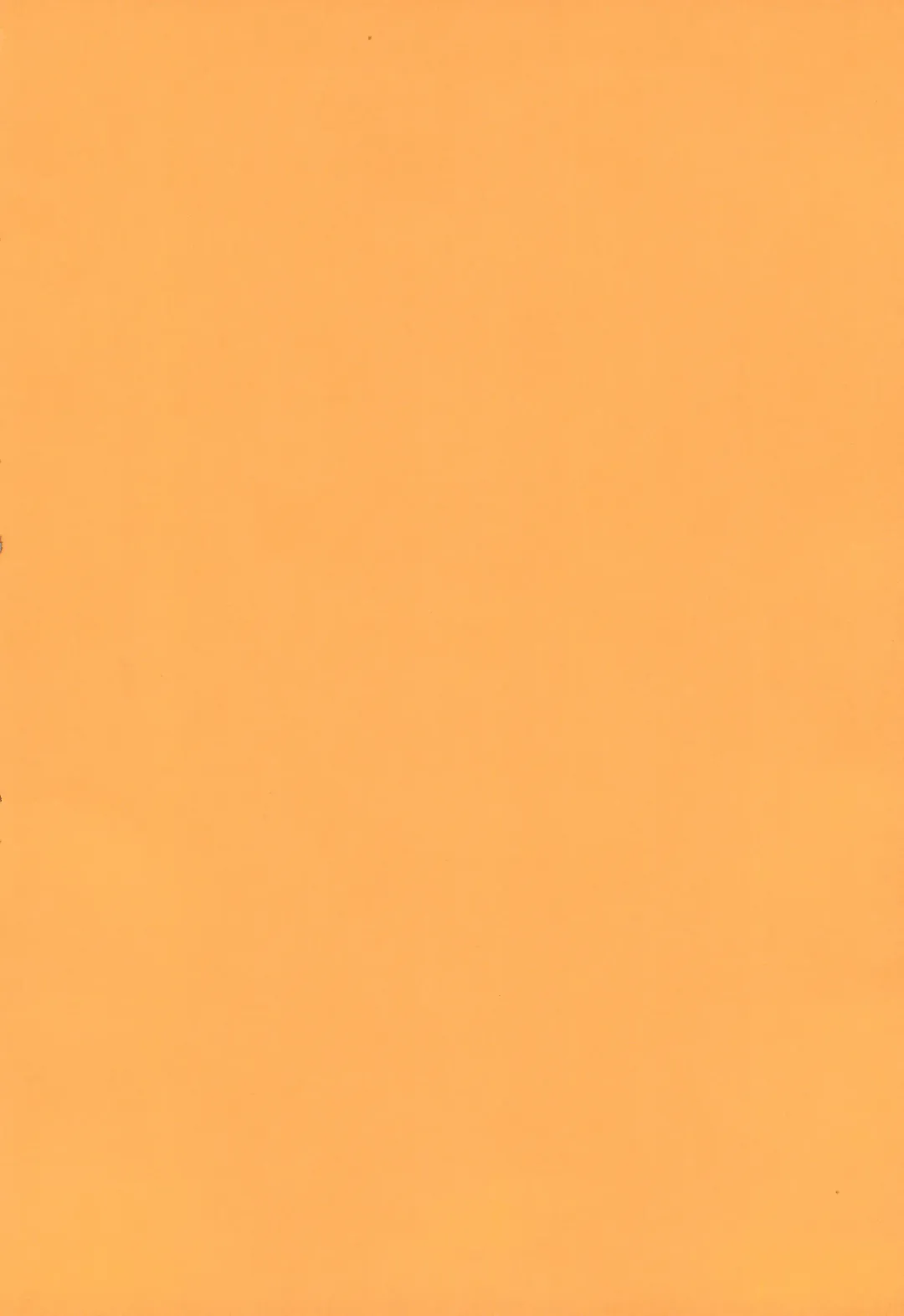 [Kagesaki Yuna] Kimyou Kitenretsu Fhentai - Page 4