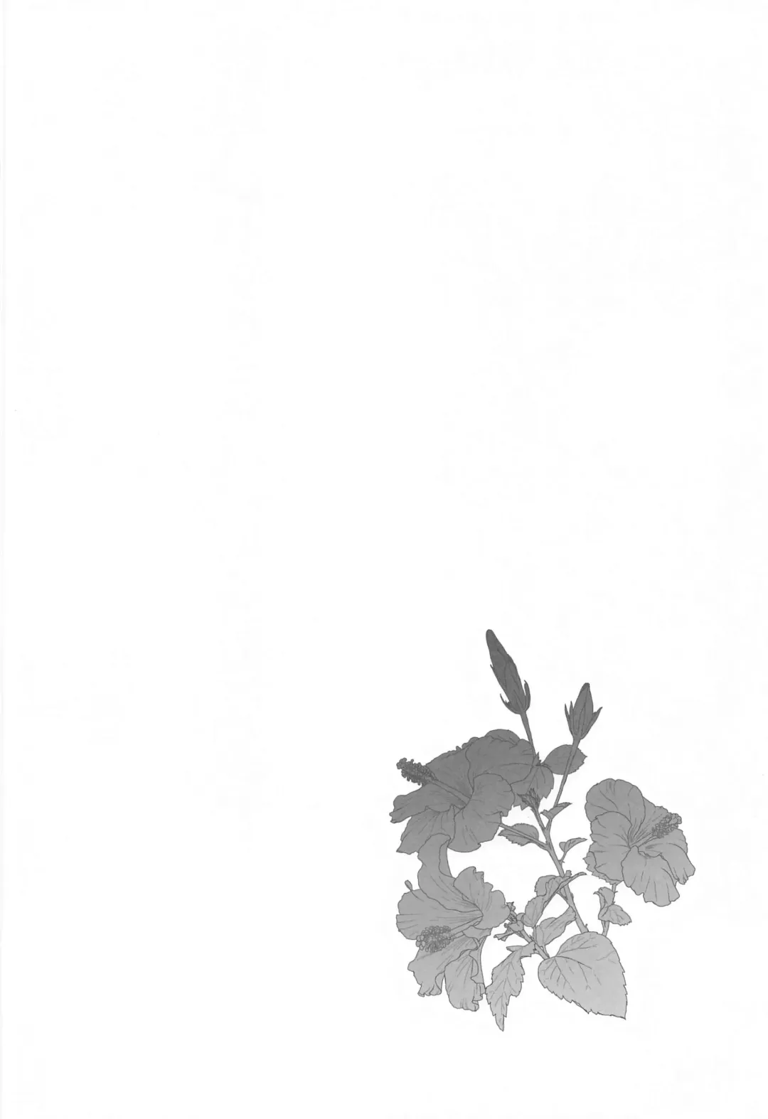 [Miya9] Hakase no Yoru no Joshu. Soushuuhen Fhentai - Page 25