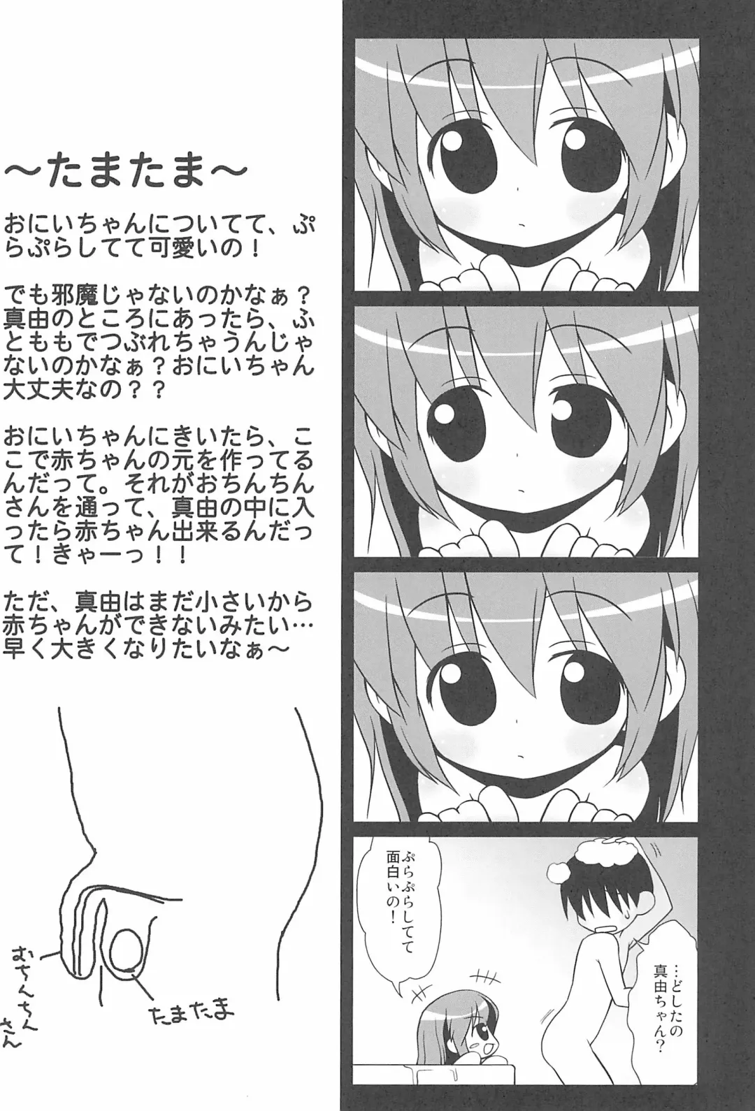 [Misooden] Imouto Pet ~premo~ Fhentai.net - Page 17